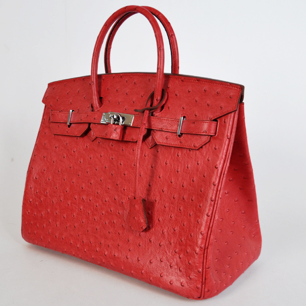 H35FOSS Hermes Birkin 35CM Fiamma Ostrich strisce di cuoio (argento)